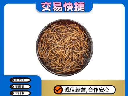 重庆开州区高价回收散虫草